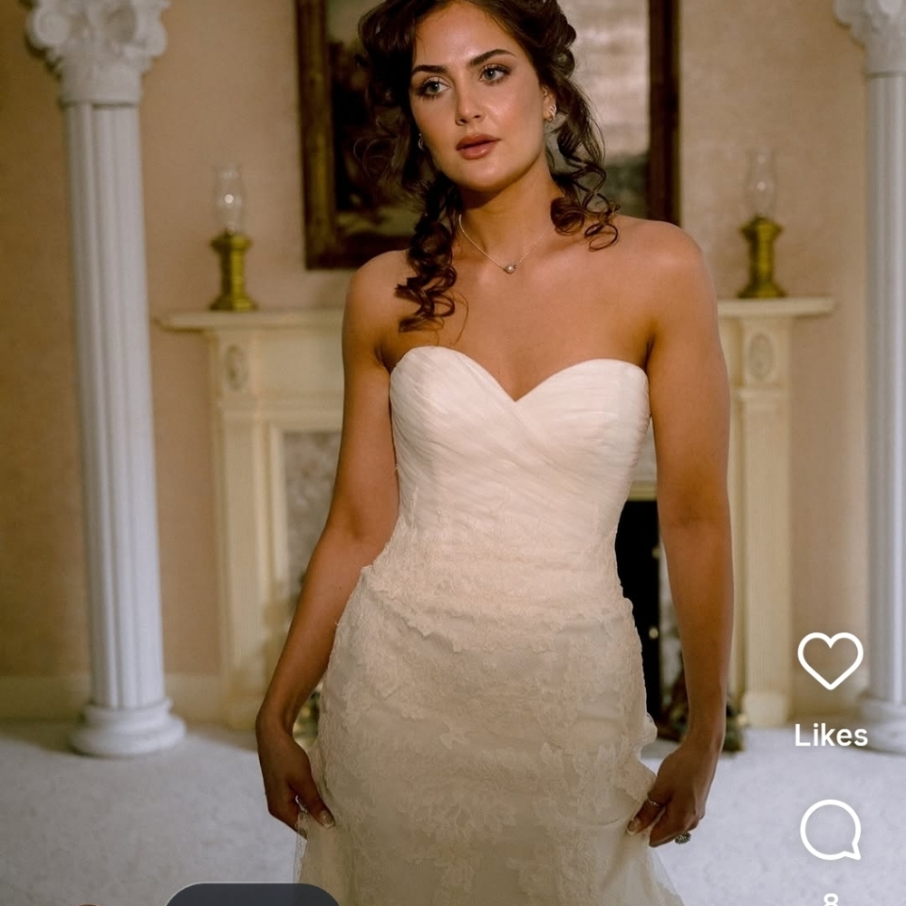 Elegant Lace Wedding Gown - Picture 3 of 9